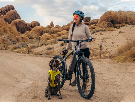 DENAGO EXC1 EMTB MOUNTAIN EBIKE