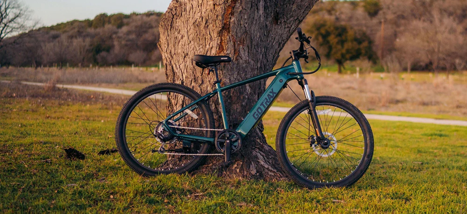 D1RT 电动山地自行车