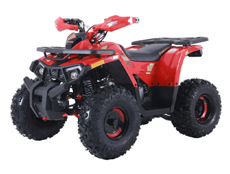 DENAGO MUDHAWK 10 FI ATV