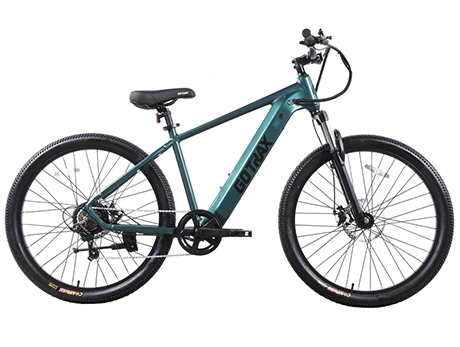 D1RT 电动山地自行车