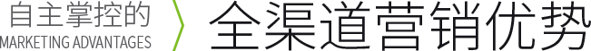 全渠路营销优势